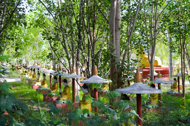 Hunderte Buddha-Statuen verstecken sich im Wald